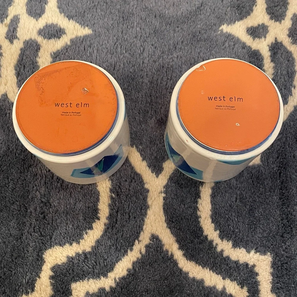 West Elm x Roar and Rabbit Cachepots